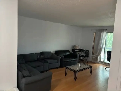 Formidable appartement 3 et demi entièrement renové à louer. Image# 1