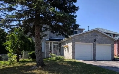 3 bedroom upper house for rent in Newmarket Image# 5