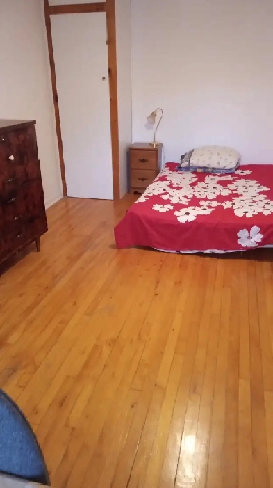 CHAMBRE EN COLOCATION ÉTUDIANTE OU TRAVAILLEUSE Image# 1