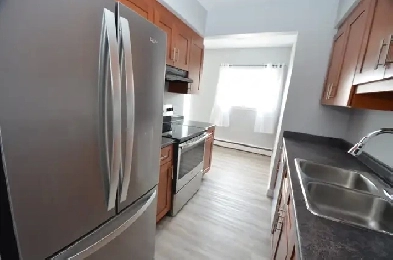 Renovated 1 bedroom with balcony now or Sept 1st - 19 Louisa St Image# 1