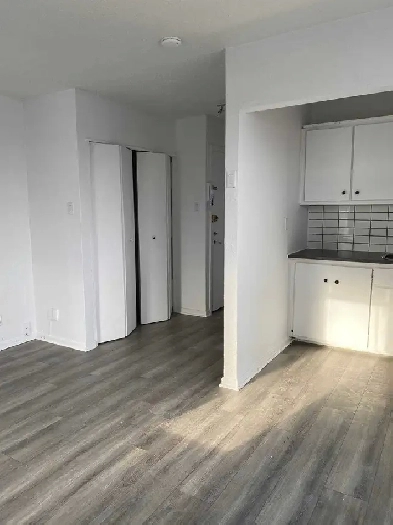 2 1/2 à louer à Hochelaga - CESSION DE BAIL Image# 1