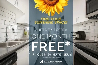 252 King Street East - 1 Bedroom Apartment for Rent Image# 1