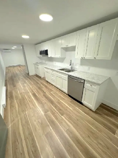 Available: September 1st – Renovated 2 Bedroom | 1 Bathroom Unit Image# 1