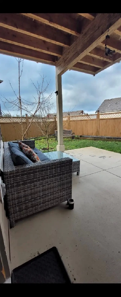 1 bedroom and den basement suite for rent Image# 1