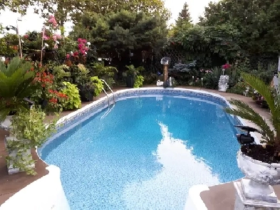 QUEENSIZE  ROOM IN HOME W INGROUND POOL TRAF UPPER MID Image# 5