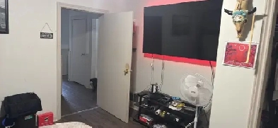 Room for rent Image# 1
