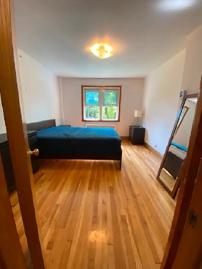 Très Grande Chambre à louer Métro Joliette Image# 1