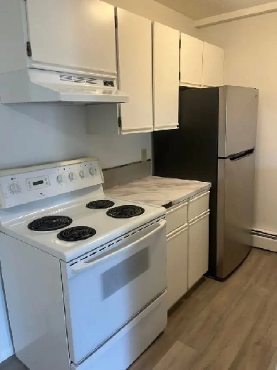 5-2530 Nechako Dr -2 bedroom unit for rent - 1800 per month Image# 2