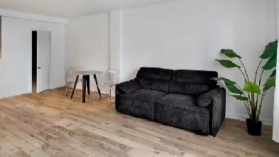 Studio 1 Bath Apartment - Downtown Montreal Image# 7