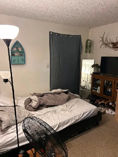 Room for Rent Image# 1