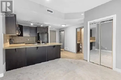 Downtown 1BR condo for Rent - Sasso Image# 3