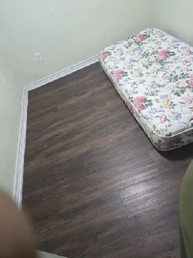 Room  For Rent Image# 4