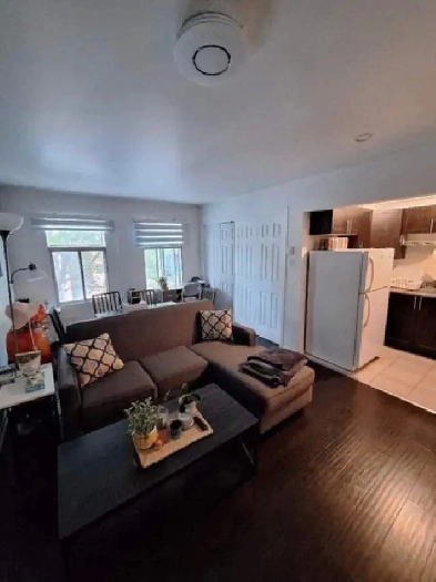Deux chambres dans une colocation près du Parc Lafontaine! Image# 1