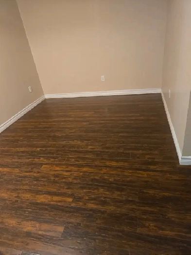 One bedroom basement for Rent Image# 1