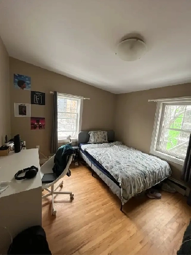 Dal/SMU Student Sublet (Halifax) Image# 1