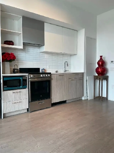 Spacious 1-Bedroom Apartment downtown Toronto for rent Image# 4