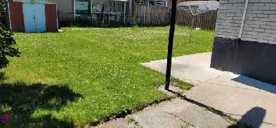 Basement For Rent $1495 Etobicoke Area (Martin Grove & Steeles) Image# 1