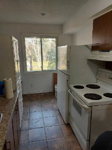 Basement Unit with Shared Kitchen Image# 1