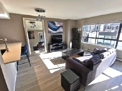 Renovated, Fully Furnished, Move-in Ready Condo for Rent Image# 3