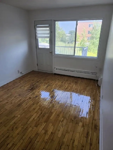 Lasalle Grand 3 ½ disponible pour maintenant en août. Image# 1