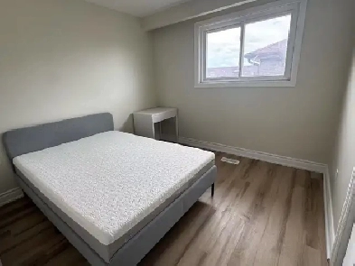 Private Room for Rent - Scarborough Image# 1