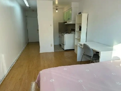Downtown Near McGill All Included Furnitured Studio for Rent !! Image# 1