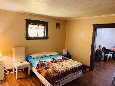 International  Student Rental . Niagara College/University Image# 1