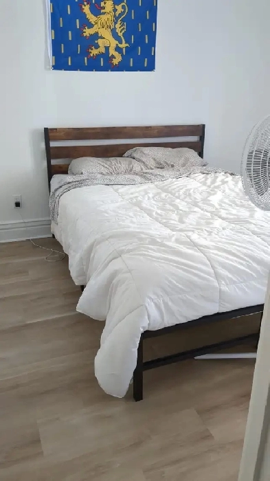 Vieux-Limoilou: beau et grand 3 1/2 entièrement rénové Image# 1