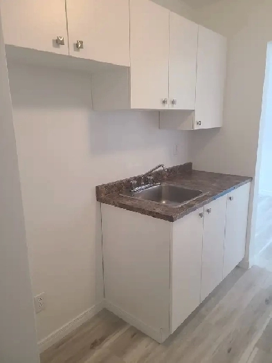 Remodeled 4 1/2 for rent Ste Rose /4 1/2 renové Ste Rose Image# 1