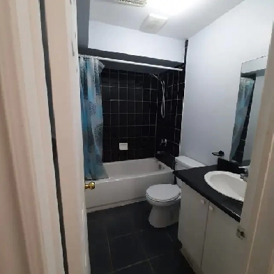 One Bedroom basement apartment, separate entrance . Image# 5