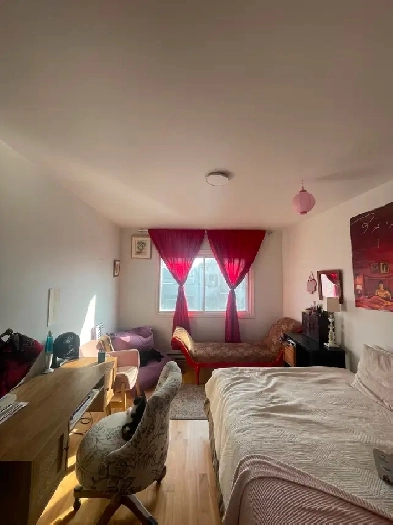 4 ½ Rosemont - Metro Beaubien/Fabre – Espace Terrasse Image# 1