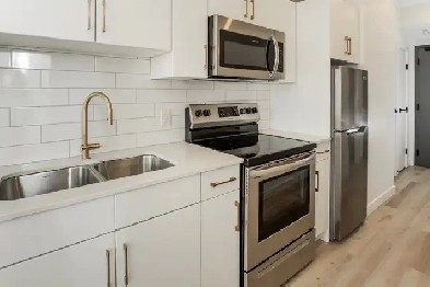 1 Bedroom Apartment! Move In Ready! Image# 4
