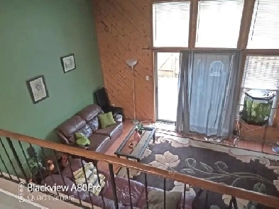 NICE ROOM IN PONDMILLS ~SEPT 1~ Image# 3