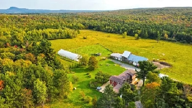 Danville – Domaine érablière, terre cultivable Image# 7