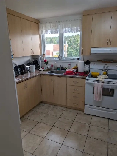 BEAU LOGEMENT 1/2 Image# 10
