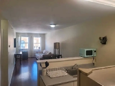 1 room apartment downtown Image# 4