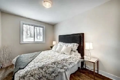 room for rent (available) Image# 2
