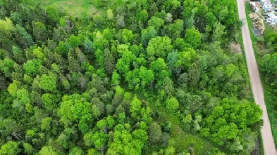 LOT 29 CON 2 Part 1 Grand Desert Road Bonfield, ON P0H 2E0 Image# 4