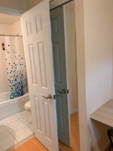Basement Rooms for Rent| Ensuite Bathroom| Near York University Image# 5