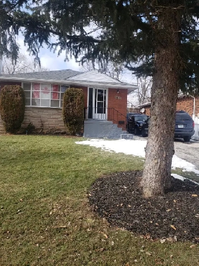 Room for rent in 3 bed room bungalow Image# 1
