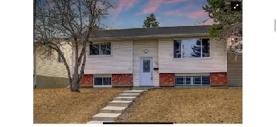 2br - 2 Beds 1 Bath - Basement For Rent in NE Calgary Pineridge Image# 1