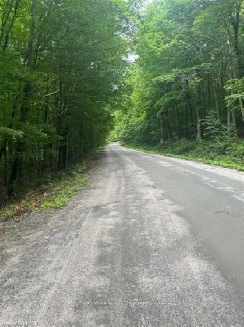 LOT 22 CON 1 Limberlost Point Parry Sound, ON P0H 1W0 Image# 6
