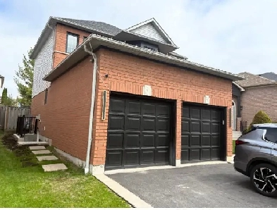 Basement Apartment for rent in Whitby Image# 1