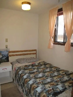 Furnished bedroom for a single with a private 2-piece bathroom $ Image# 3
