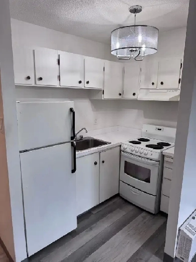 Bachelor suite in Brevoort park Image# 6