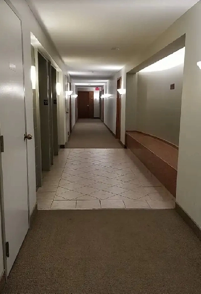 Room for rent in a 2 bedroom apartment Image# 1