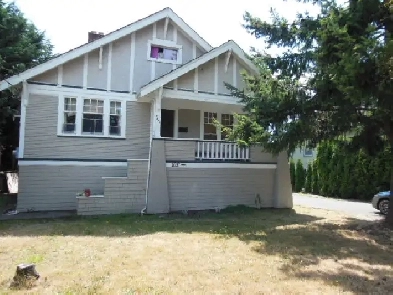 4 Bedroom Shelbourne/Hillside for Rent Image# 9