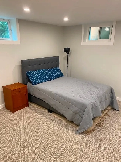 Basement Room Beside McMaster University Image# 1