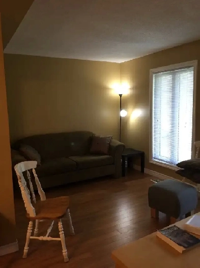 student wanted. Image# 1