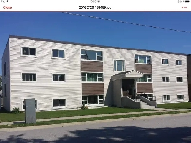Top Floor Newly Renovated 2 Bedroom available September Image# 5